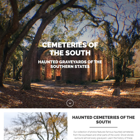 Screen shot of Cemeteries of the South website